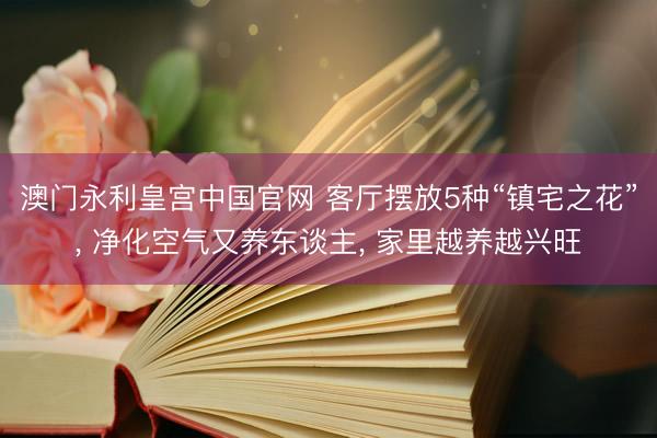 澳门永利皇宫中国官网 客厅摆放5种“镇宅之花”， 净化空气又养东谈主， 家里越养越兴旺