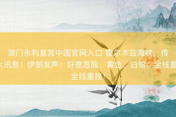 澳门永利皇宫中国官网入口 霍尔木兹海峡，传来大讯息！伊朗发声！好意思股、黄金、白银，全线重挫！