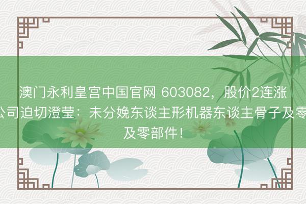澳门永利皇宫中国官网 603082,股价2连涨停!公司迫切澄莹:未分娩东谈主形机器东谈主骨子及零部件!