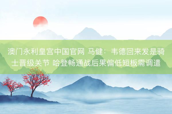 澳门永利皇宫中国官网 马健：韦德回来发是骑士晋级关节 哈登畅通战后果偏低短板需调遣
