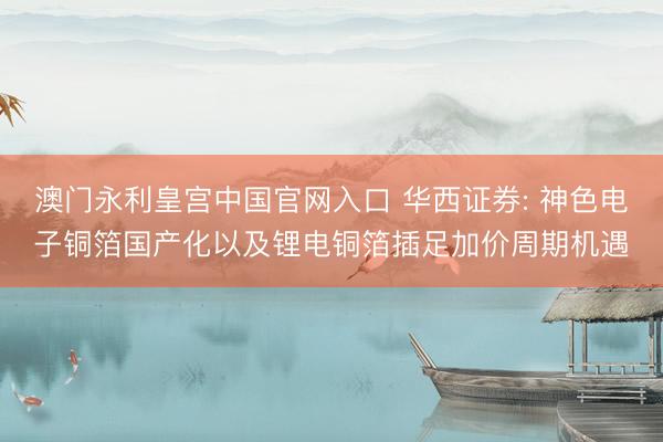 澳门永利皇宫中国官网入口 华西证券: 神色电子铜箔国产化以及锂电铜箔插足加价周期机遇