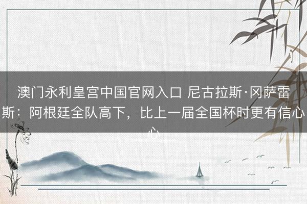 澳门永利皇宫中国官网入口 尼古拉斯·冈萨雷斯：阿根廷全队高下，比上一届全国杯时更有信心