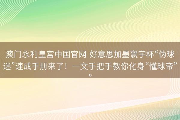 澳门永利皇宫中国官网 好意思加墨寰宇杯“伪球迷”速成手册来了！一文手把手教你化身“懂球帝”
