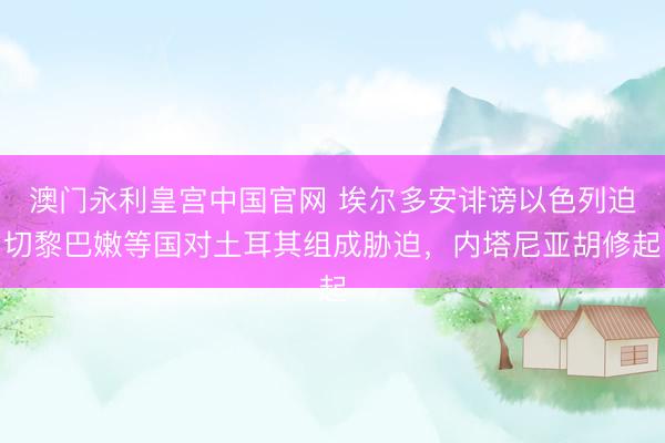 澳门永利皇宫中国官网 埃尔多安诽谤以色列迫切黎巴嫩等国对土耳其组成胁迫，内塔尼亚胡修起