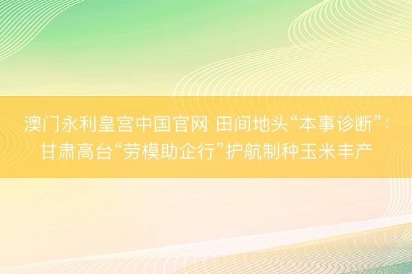 澳门永利皇宫中国官网 田间地头“本事诊断”:甘肃高台“劳模助企行”护航制种玉米丰产